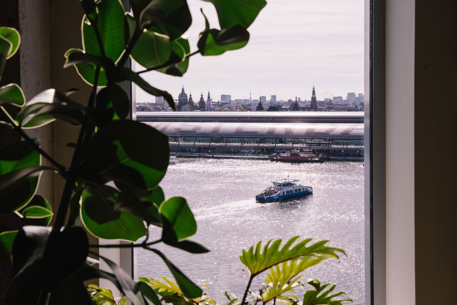 Uitzicht over het IJ en de Amsterdamse skyline, gezien vanaf een kantoor met planten bij het raam